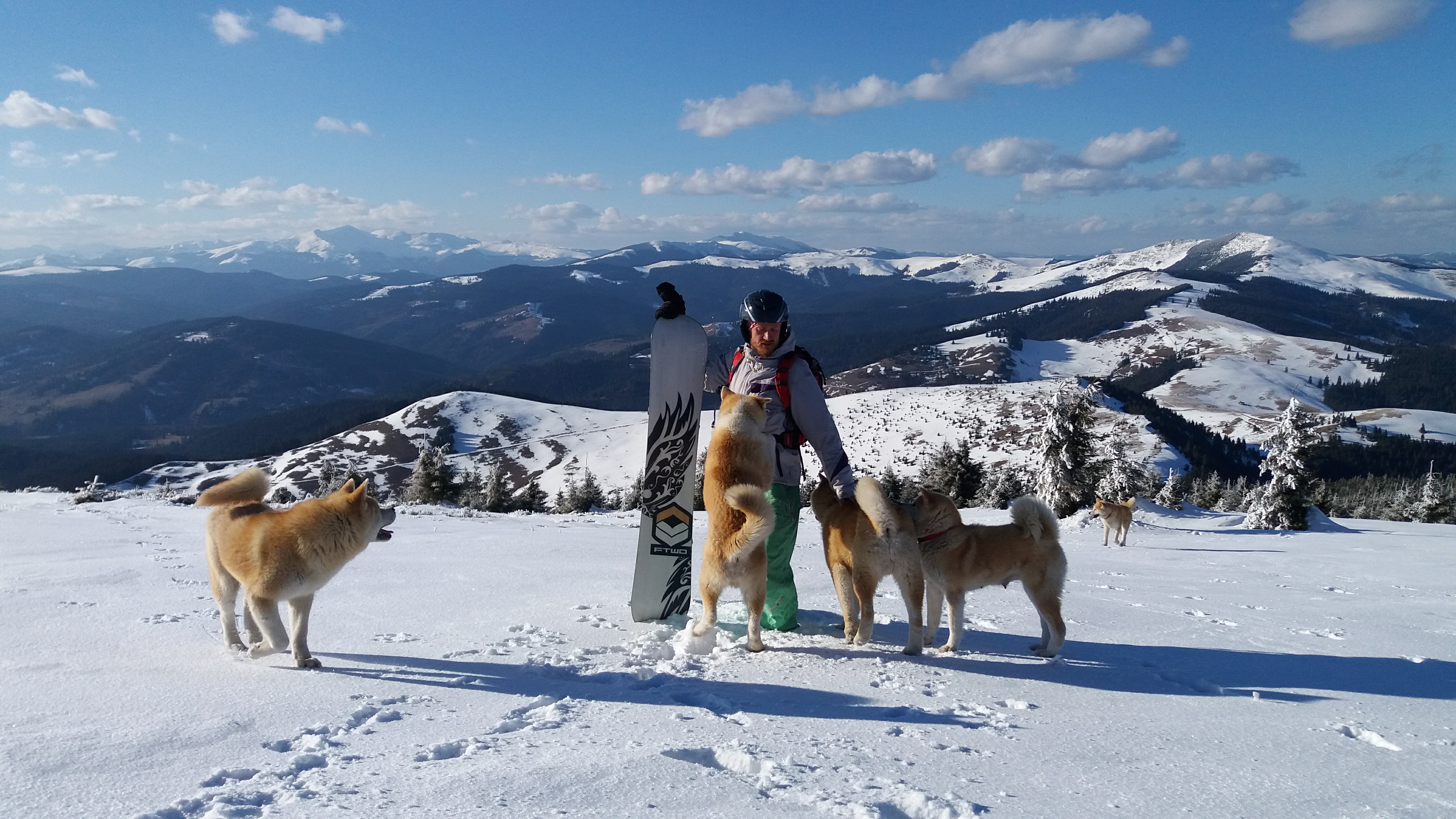 Andrei with the Akita pack in the snow